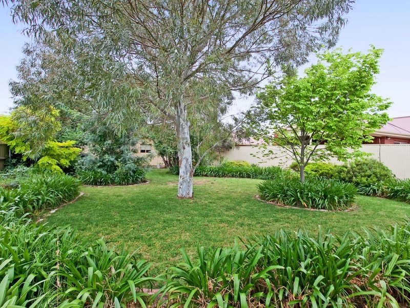 36 Broughton Avenue, Kurralta Park SA 5037