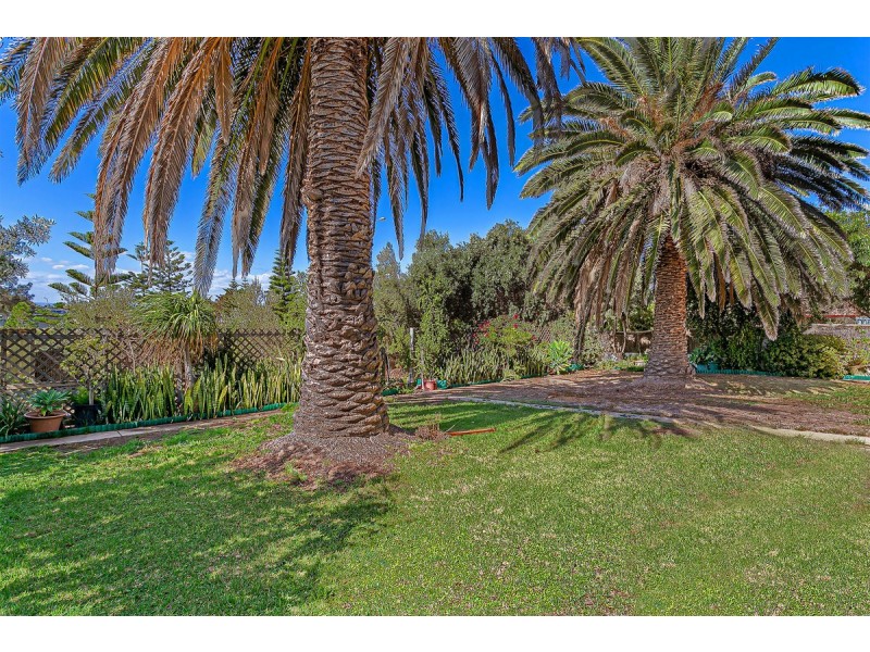 3 Shore Court, West Lakes Shore SA 5020