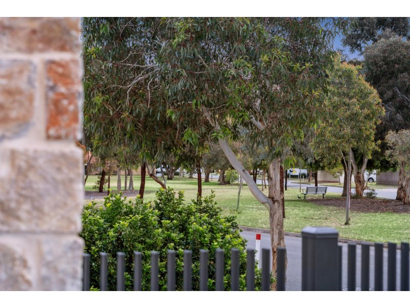 29 Wandilla Street, Grange SA 5022