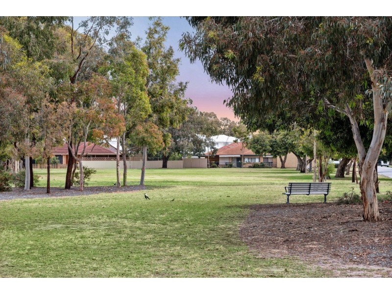 29 Wandilla Street, Grange SA 5022