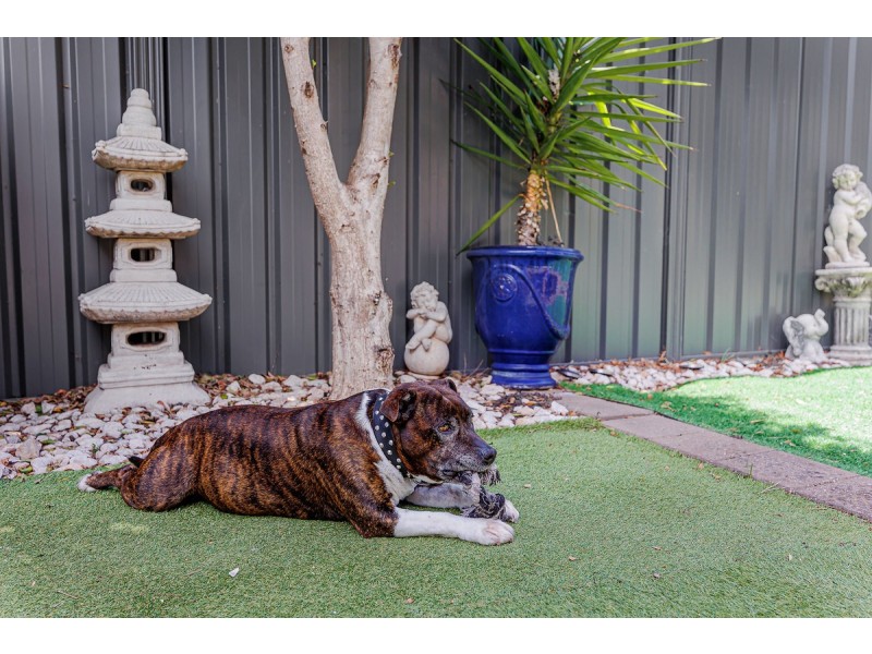23B Stuart Road, South Plympton SA 5038
