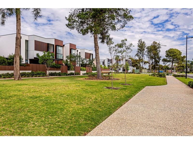 203/2 The Pinery, West Lakes SA 5021