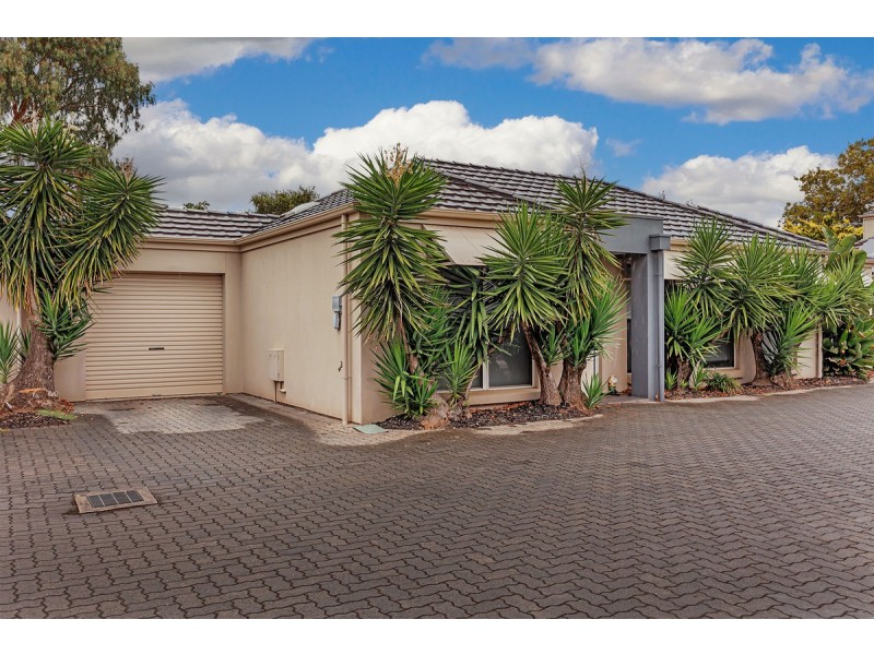 Torrensville SA 5031