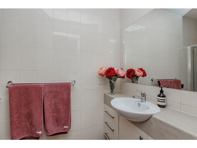 Torrensville SA 5031