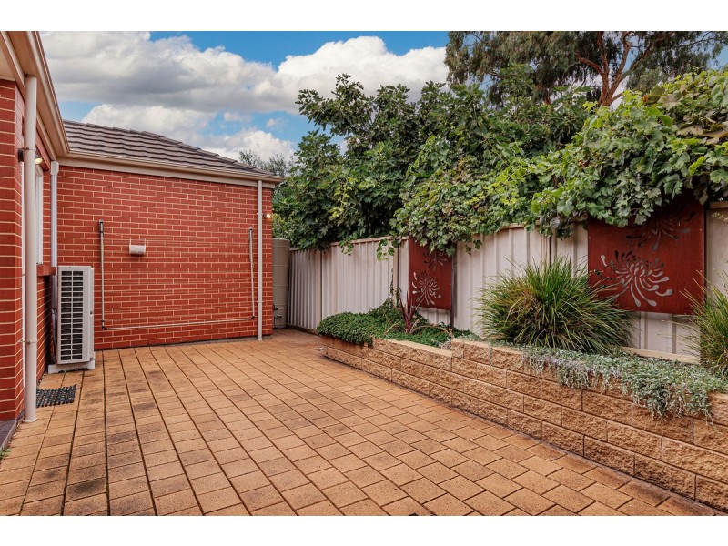 Torrensville SA 5031