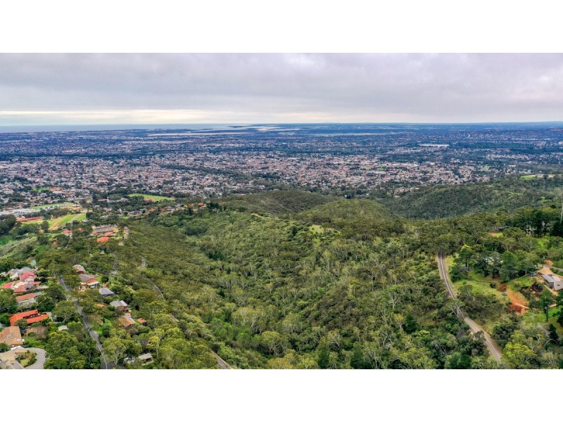 3 Northview Way, Teringie SA 5072
