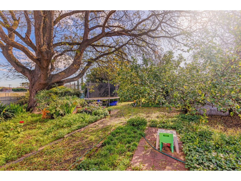 6 Harvey Avenue, Gilles Plains SA 5086