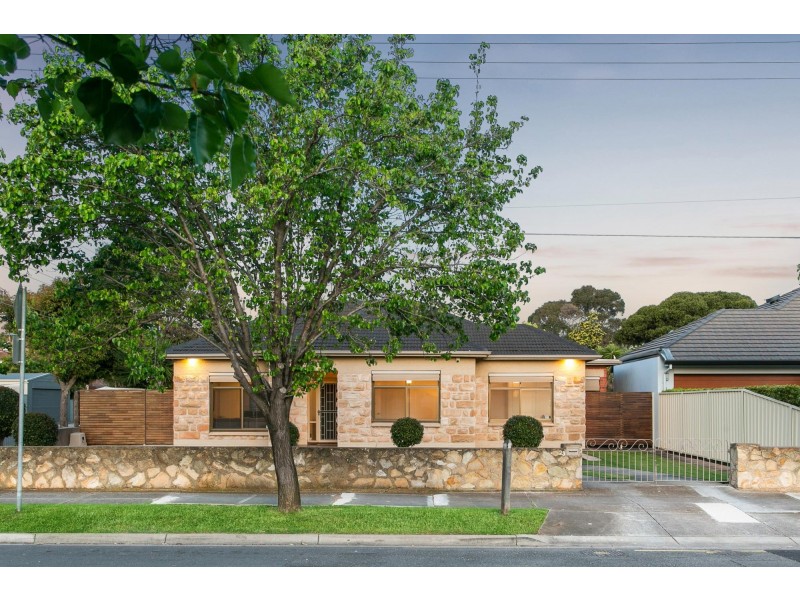 23 White Avenue, Lockleys SA 5032