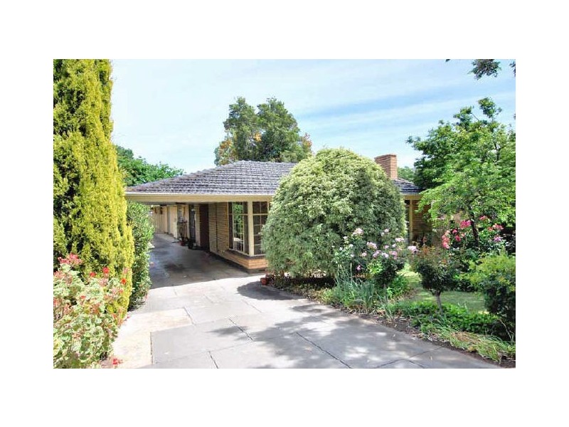 19a Taylor Terrace, Rosslyn Park SA 5072