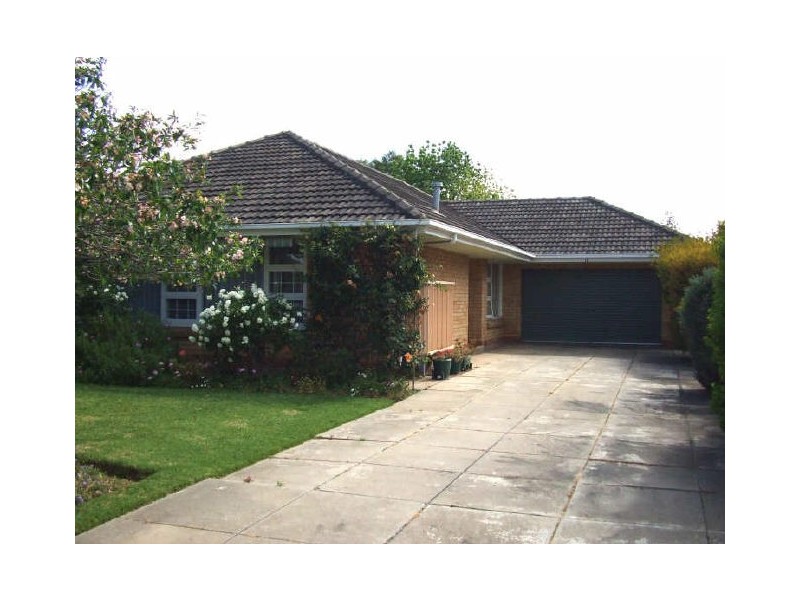 11 Pine Avenue, Glenelg North SA 5045
