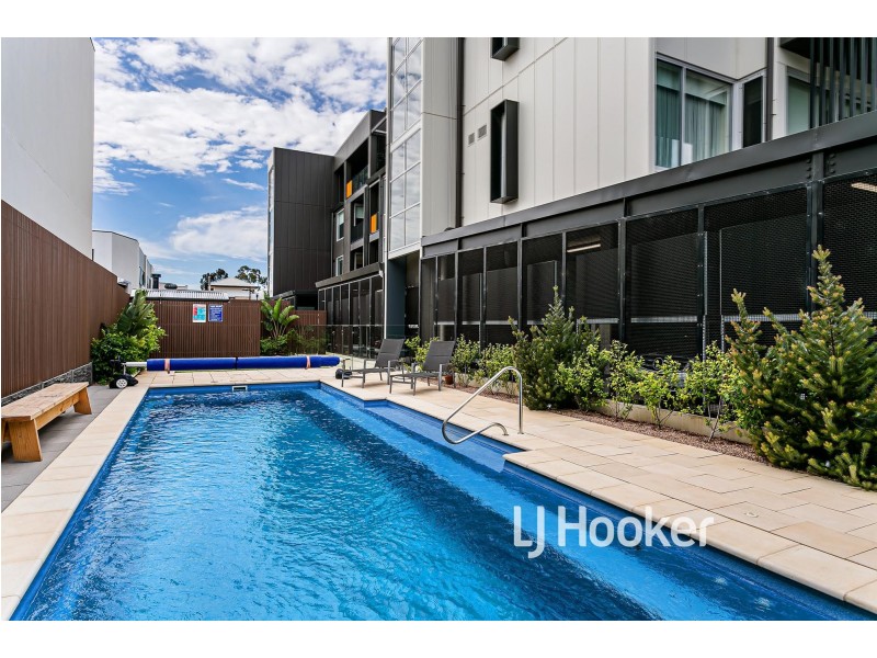 305/2 The Pinery, West Lakes SA 5021