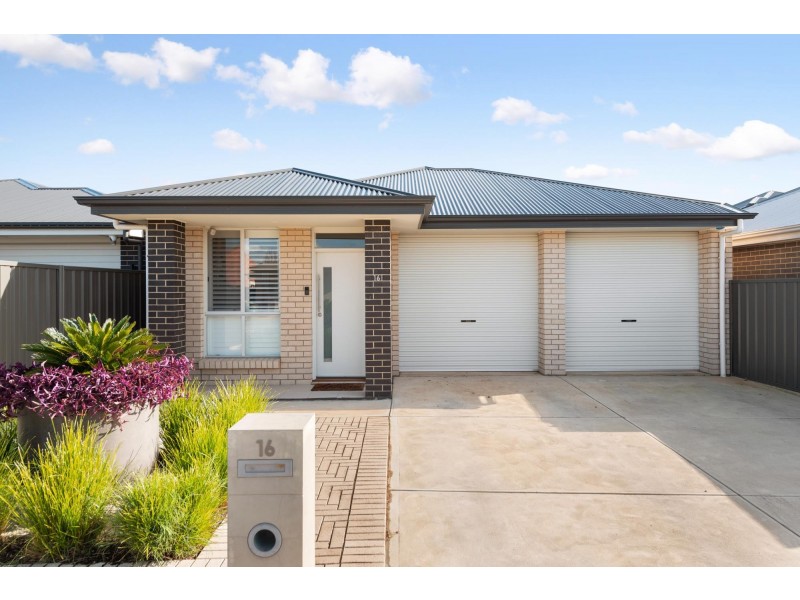 16 Paqualin Street, Hendon SA 5014