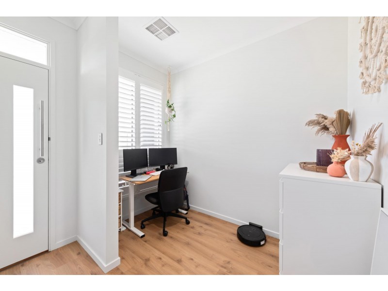 16 Paqualin Street, Hendon SA 5014