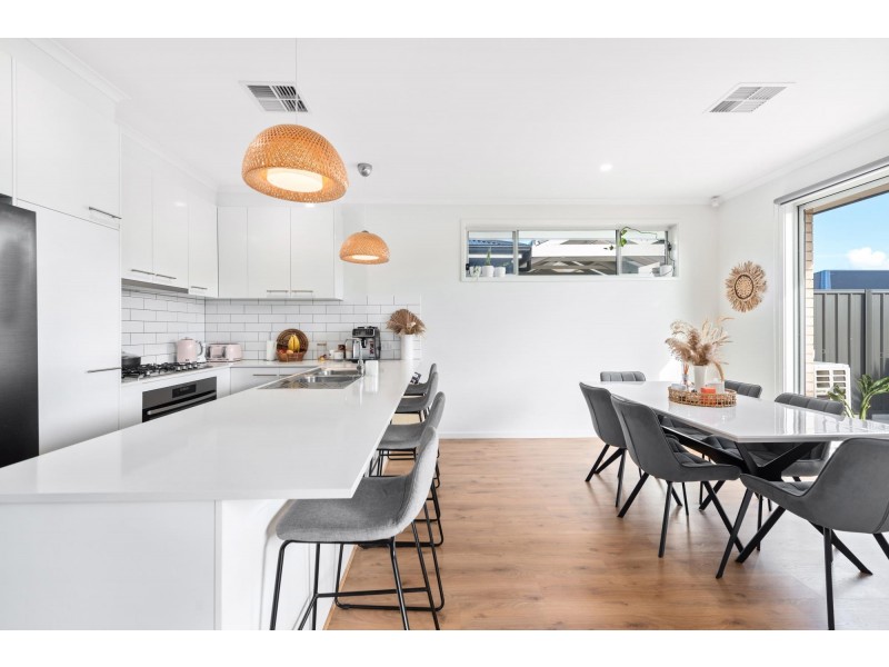 16 Paqualin Street, Hendon SA 5014