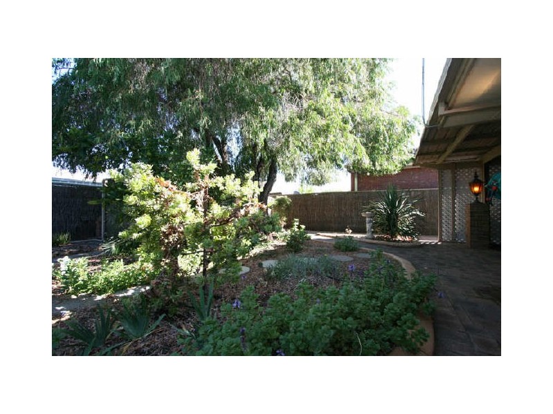 10 McDonald Grove, West Lakes SA 5021