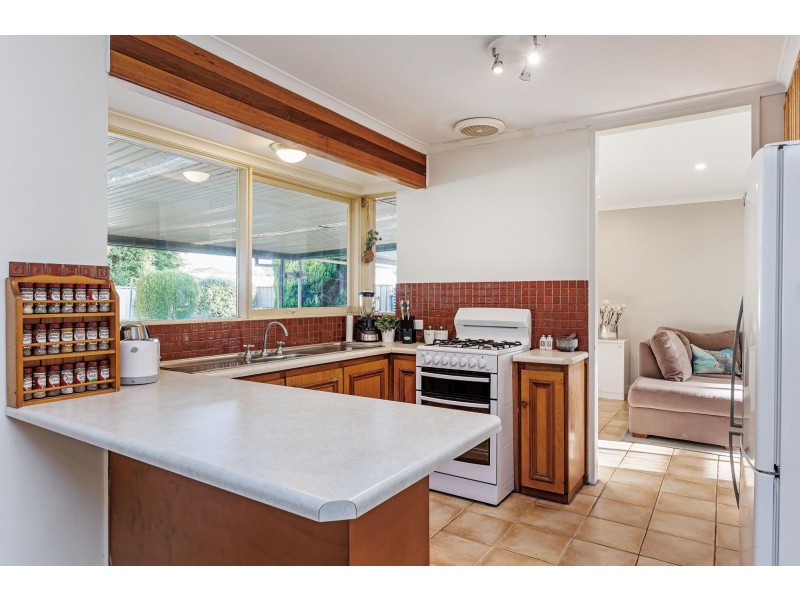 13 Cassia Street, Surrey Downs SA 5126