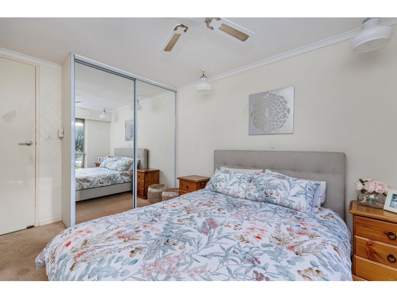 13 Cassia Street, Surrey Downs SA 5126