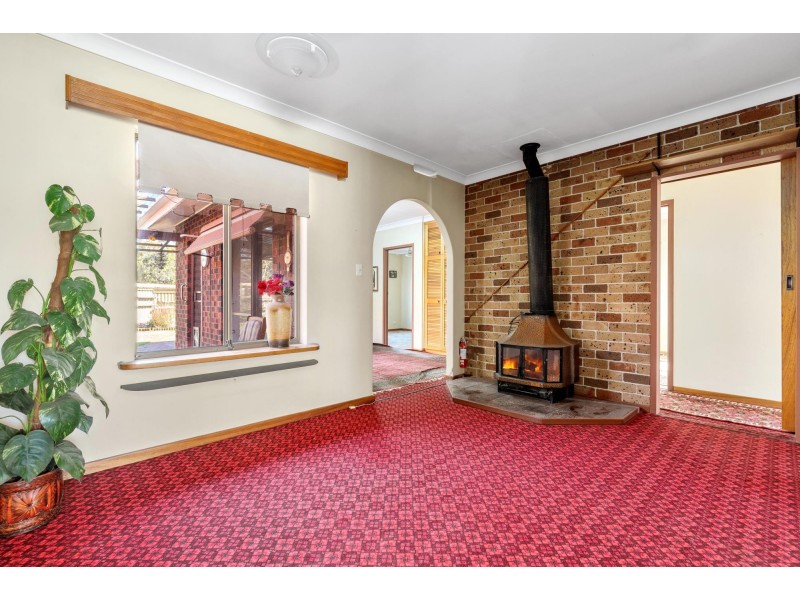 10 Niblic Court, Grange SA 5022