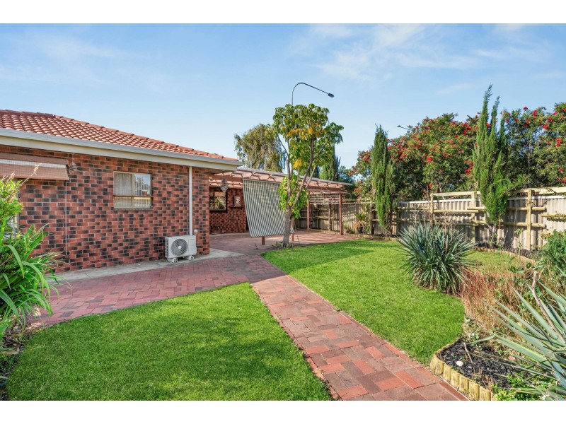 10 Niblic Court, Grange SA 5022
