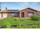 10 Niblic Court, Grange SA 5022