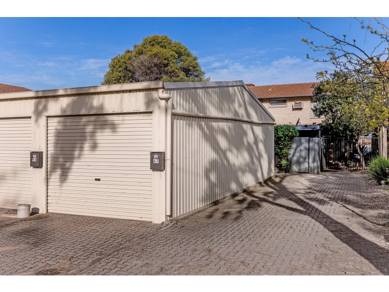 47 Dotterel Drive, Semaphore Park SA 5019