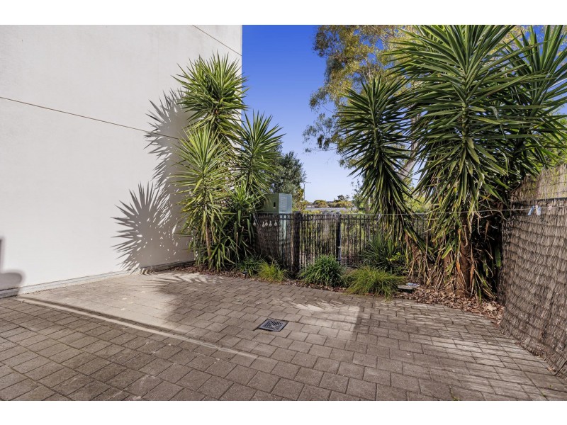 12/1-5 St Kitts Place, Mawson Lakes SA 5095