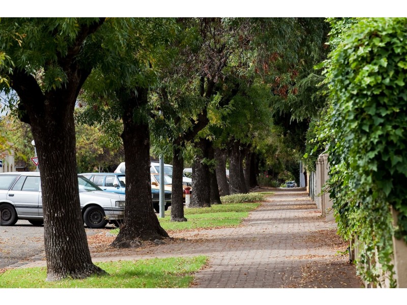 5/150 Childers Street, North Adelaide SA 5006