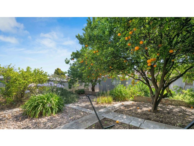 14 Jervois, West Hindmarsh SA 5007