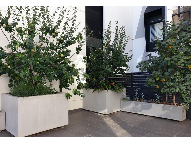 102/1 Kevin Taylor Lane, Bowden SA 5007