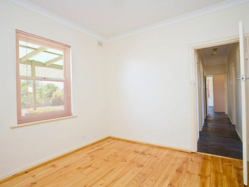 3 Collins Avenue, Edwardstown SA 5039