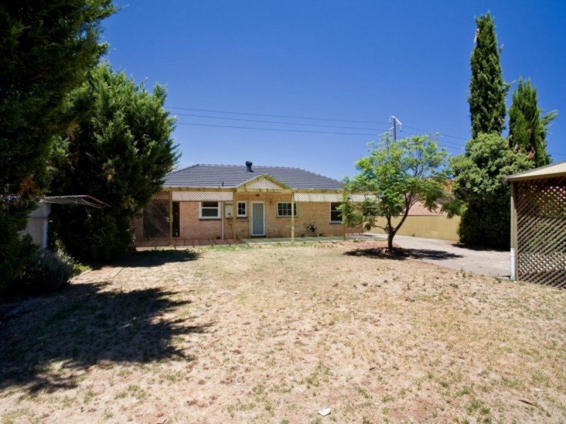 3 Collins Avenue, Edwardstown SA 5039