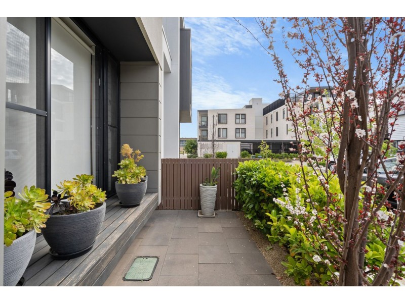 6 Banksia Street, West Lakes SA 5021