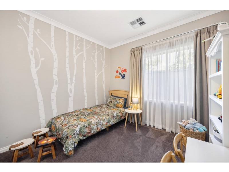 17 Amos Way, Royal Park SA 5014