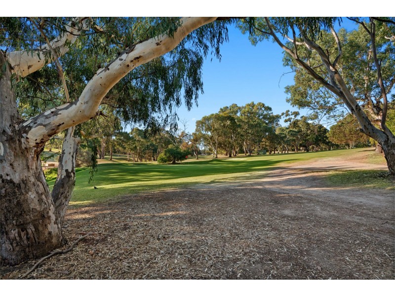 1/99 Daveys Road, Flagstaff Hill SA 5159