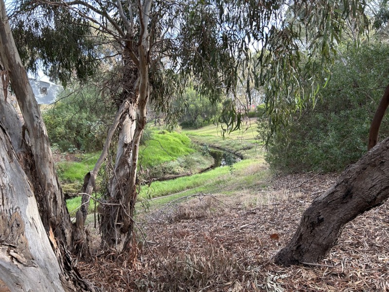 56 Riverside Avenue, Allenby Gardens SA 5009