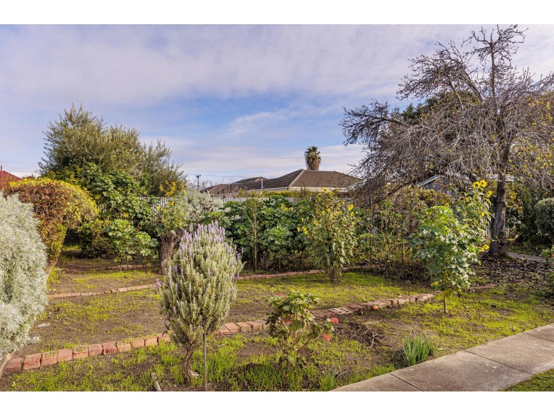 18 Dundee Avenue, Seaton SA 5023