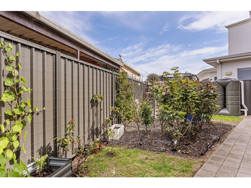 16 Huron Grove, West Lakes SA 5021