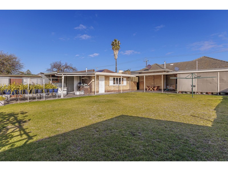 41 Paqualin Street, Hendon SA 5014