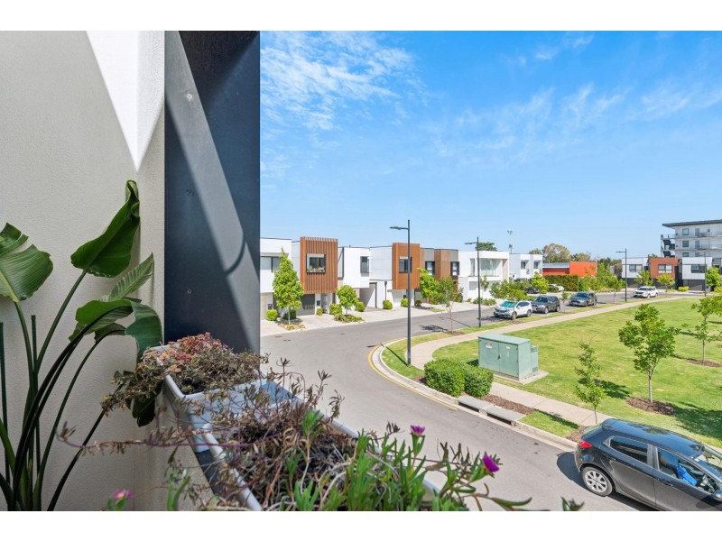 63 Colton Street, West Lakes SA 5021