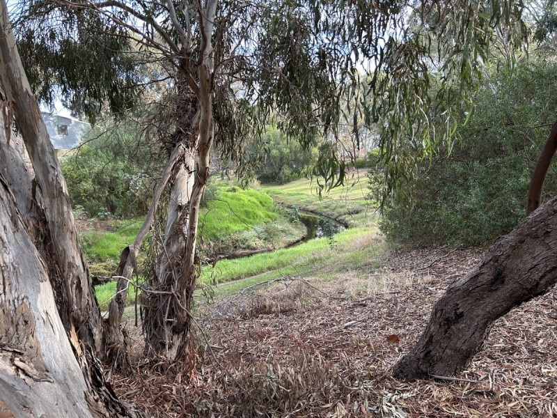 56 Riverside Avenue, Allenby Gardens SA 5009