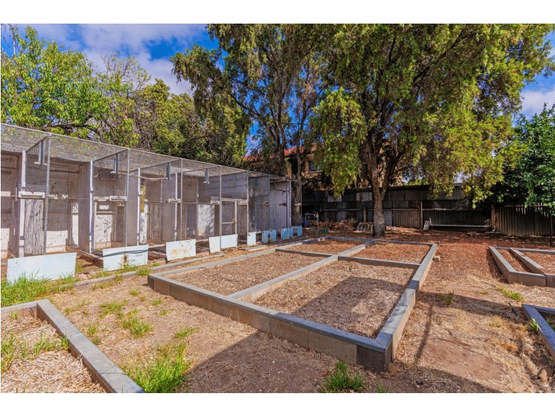 12 Pym Street, Croydon Park SA 5008