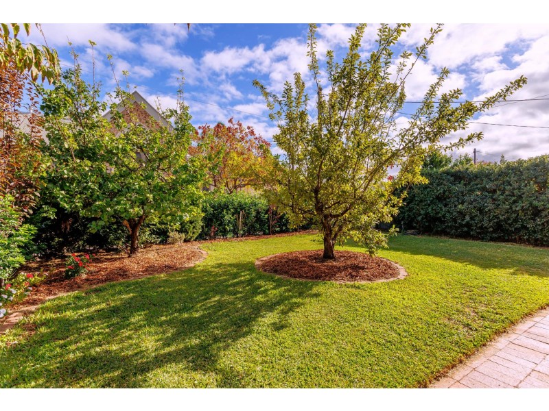 6 Glebe Street, Alberton SA 5014