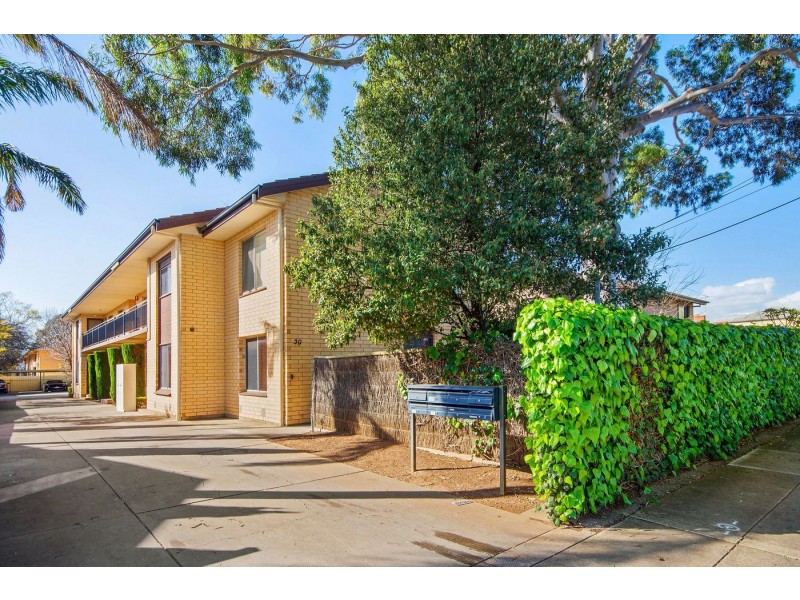 6/30 Marleston Avenue, Ashford SA 5035