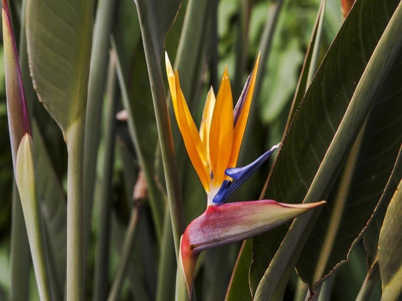 11 Ayton Avenue, Fulham SA 5024