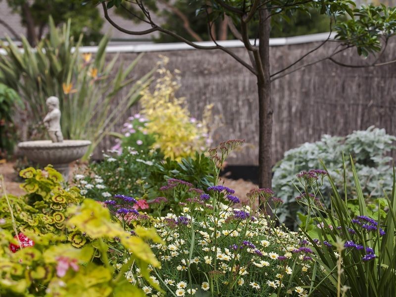 11 Ayton Avenue, Fulham SA 5024