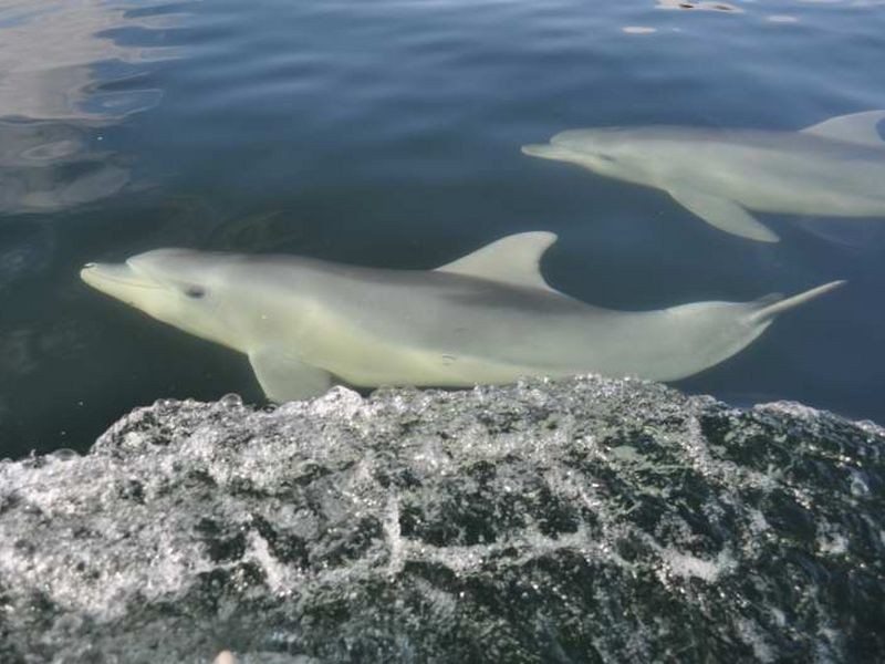 502/2-7 Pilla Avenue, Port Adelaide SA 5015