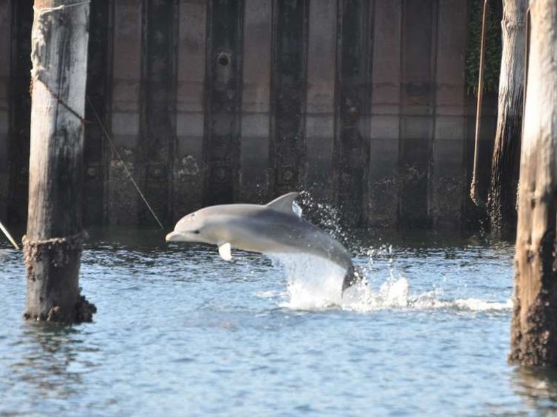 502/2-7 Pilla Avenue, Port Adelaide SA 5015