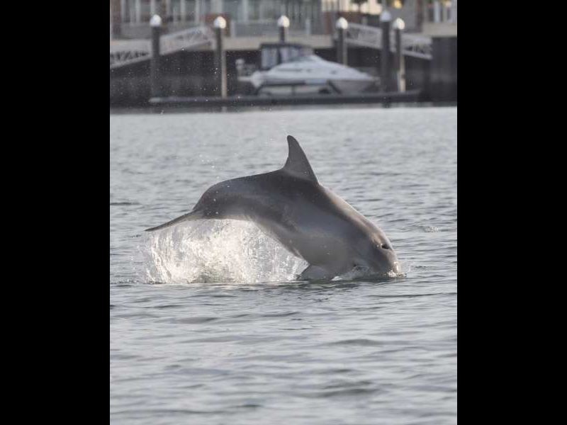 502/2-7 Pilla Avenue, Port Adelaide SA 5015