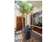 37 Anaconda Drive, North Haven SA 5018