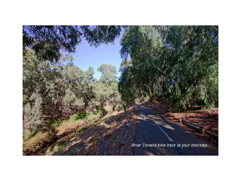 1/2 Torrens Avenue, West Hindmarsh SA 5007